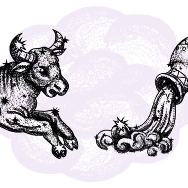 Byk i Wodnik - kompatybilność w horoskopie partnerskim