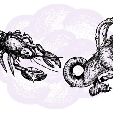 Rak i Koziorożec - kompatybilność w horoskopie partnerskim